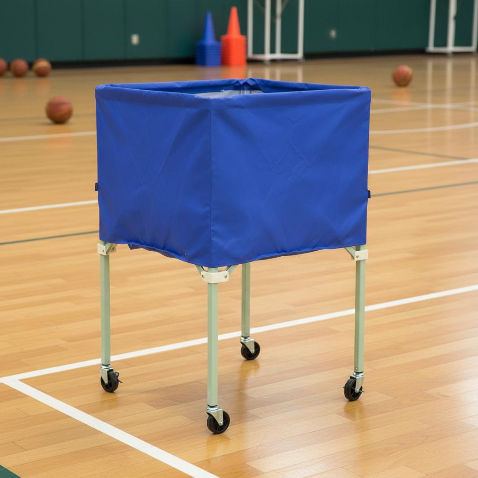 Ball Vehicle Cover Waterproof  - Sports Equipment Organizer recension och pris